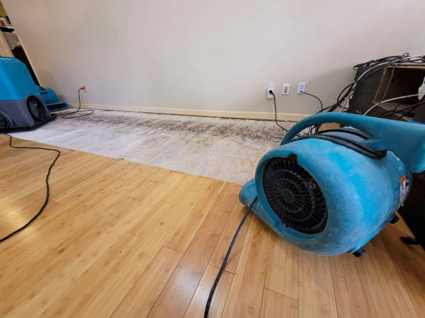 Professional Water Damage Repair technician working in Petersburg, IN
